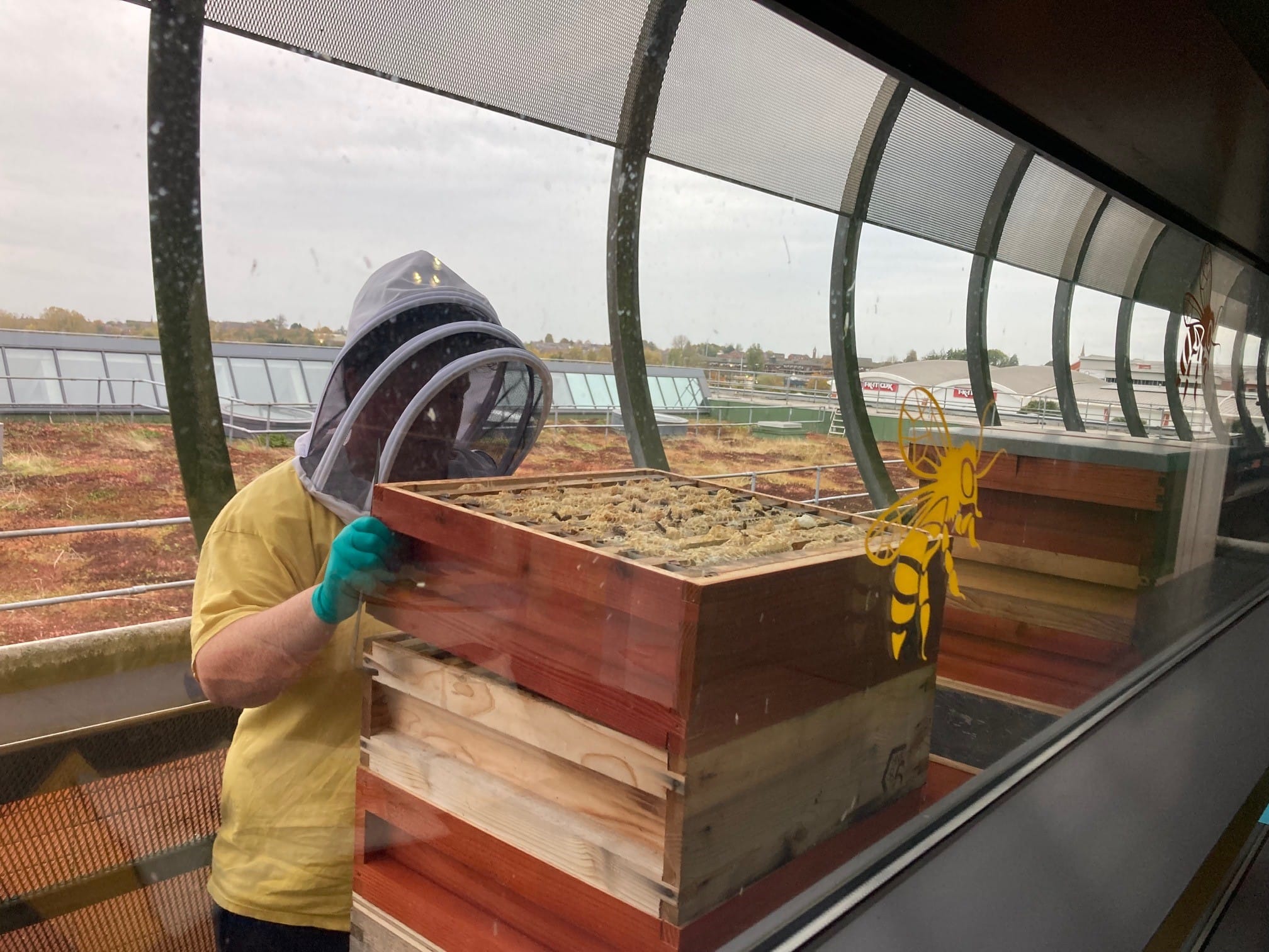 beekeeper at the hive