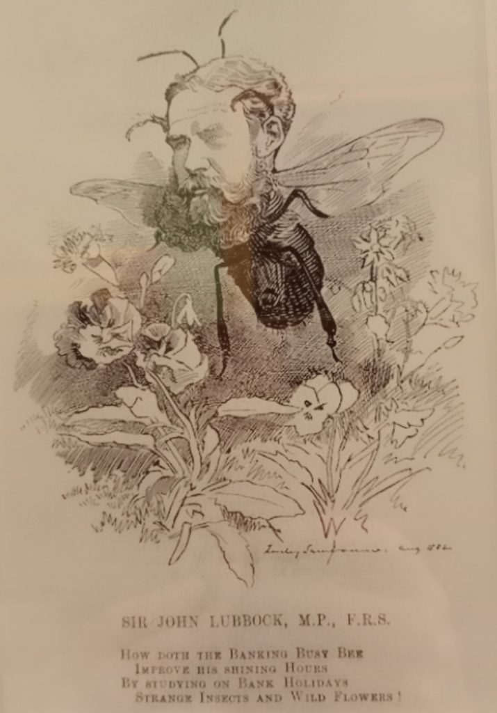 Punch cartoon drawing of Sir John Lubbock showing his head on the body of a wasp.