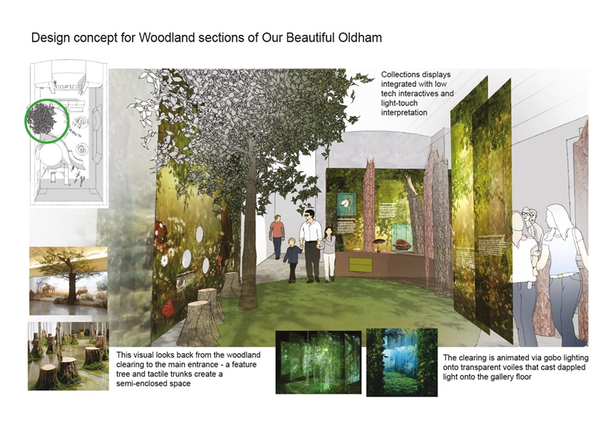 Design concept for Woodland section of Our Beautiful Oldham provided by The Creative Core showing display cases, and exhibition within a clearing of trees and tree stumps.