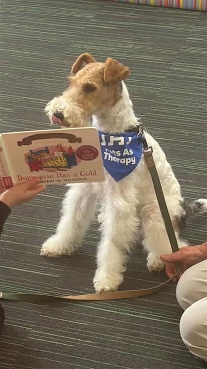 Read with Ziggy