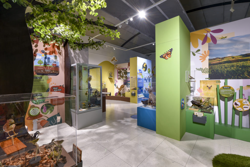 Installation image showing Our Beautiful Oldham gallery.