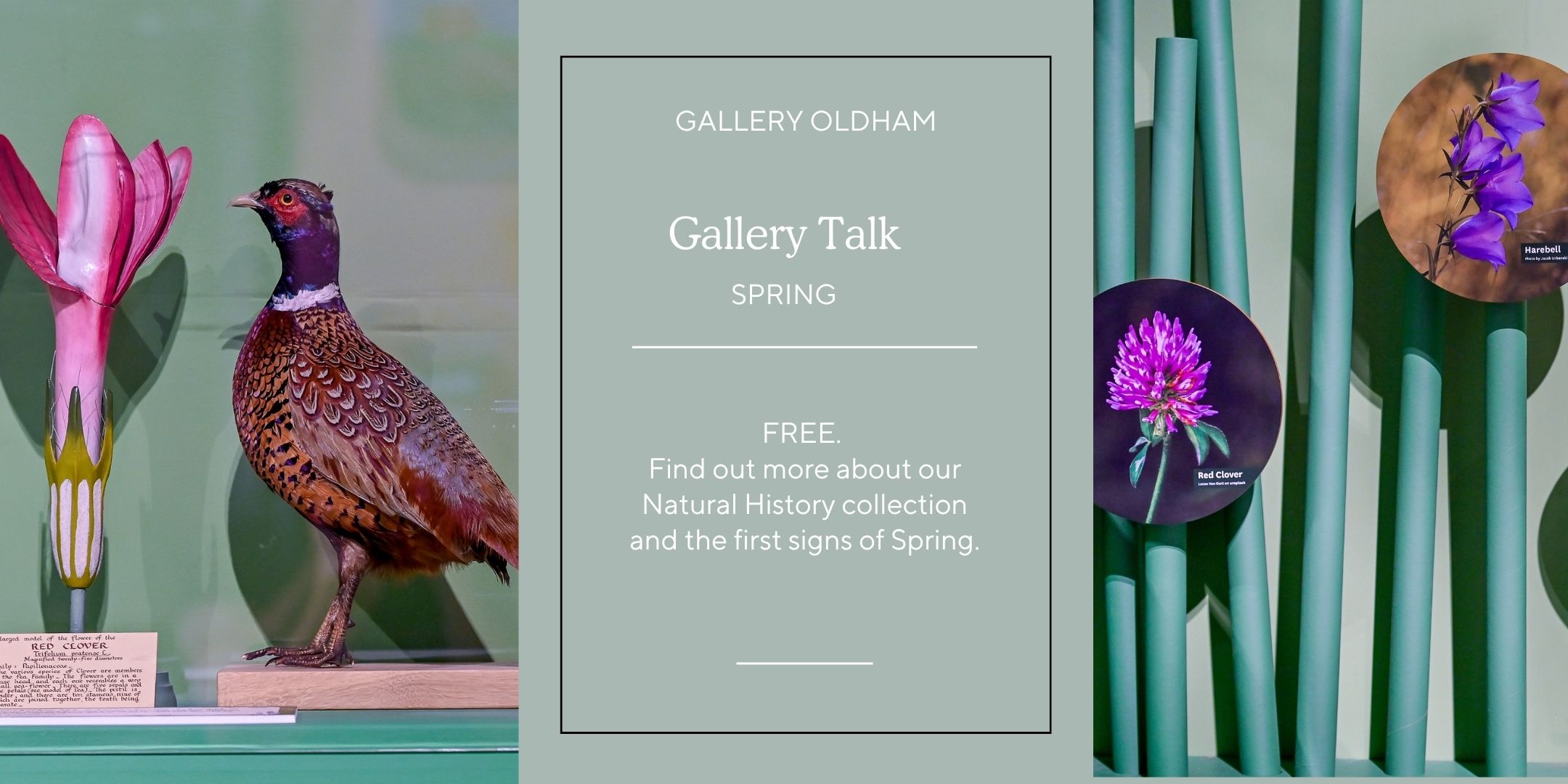 Image of Pheasant and Plant models advertising Gallery Talk on Spring.